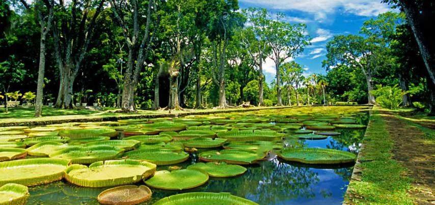 Lotus Villa, Residences Le Chaumet, Pereybere Bain Boeuf Zewnętrze zdjęcie